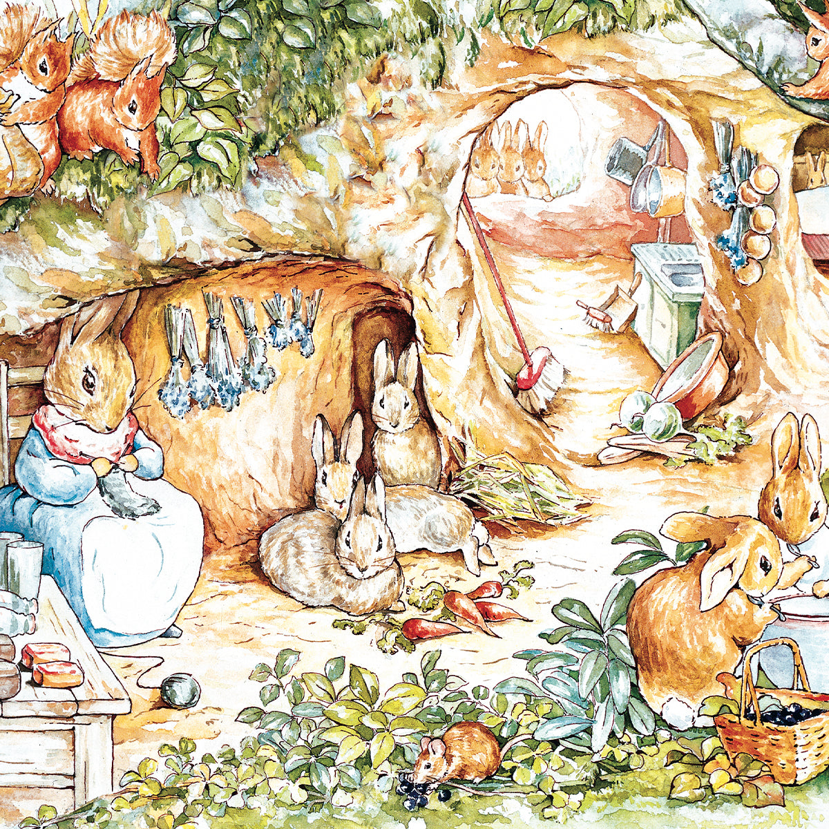 Peter Rabbit Puzzles