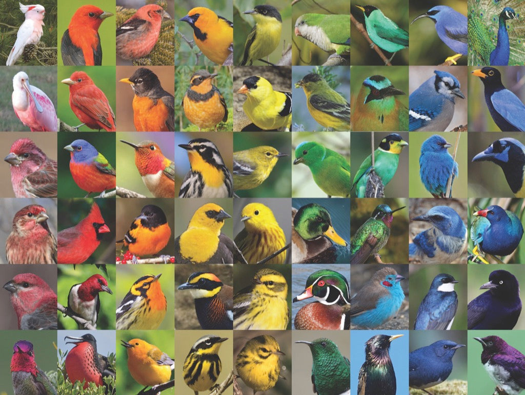 Birds & Wildlife - Puzzles, Mugs & Playing Cards