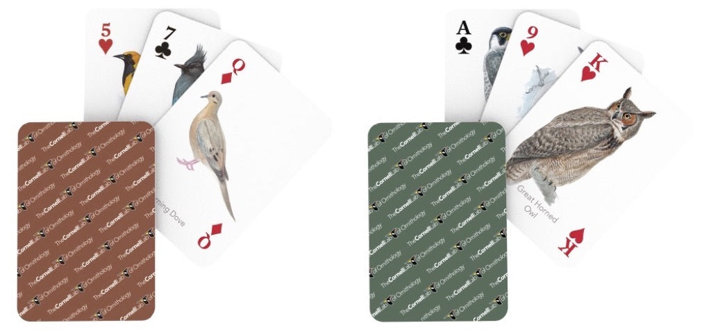 Cornell Birds Double Deck Playing Cards Image 3