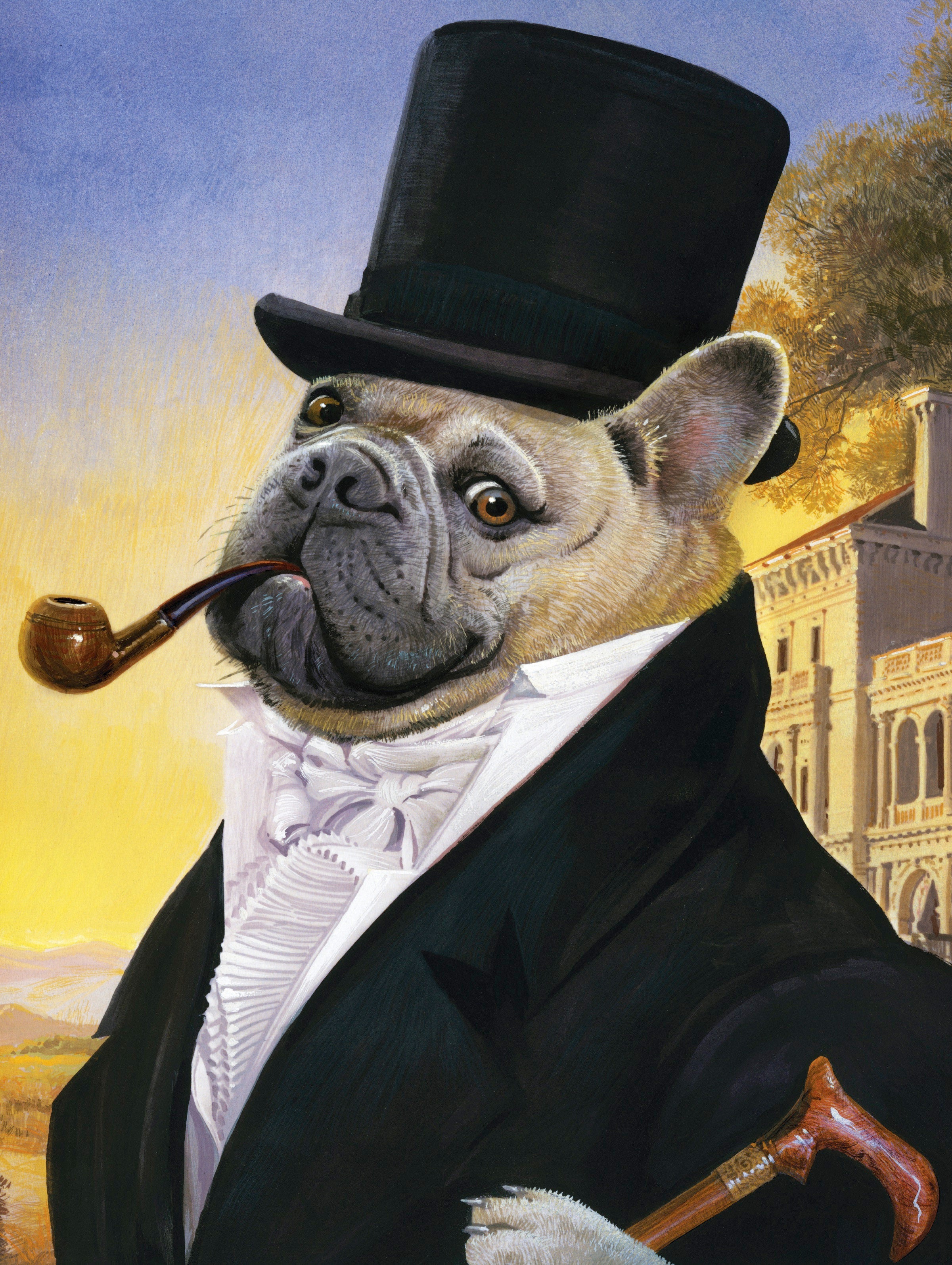 Posh Pug