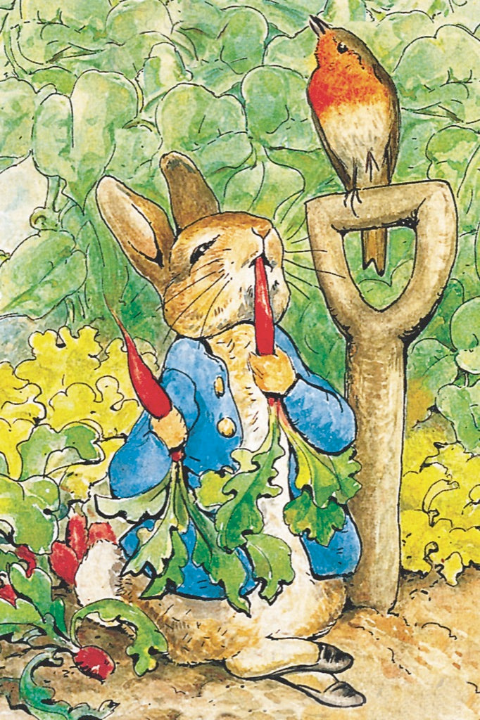 Peter Rabbit Mini