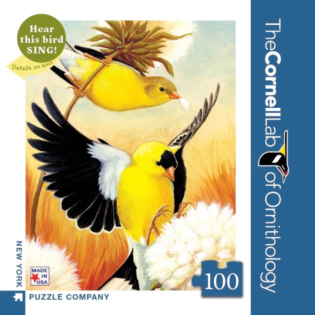 American Goldfinch Mini