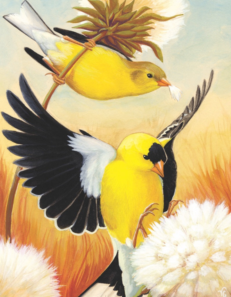 American Goldfinch Mini Image 3