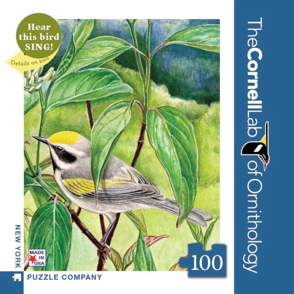 Golden-winged Warbler Mini