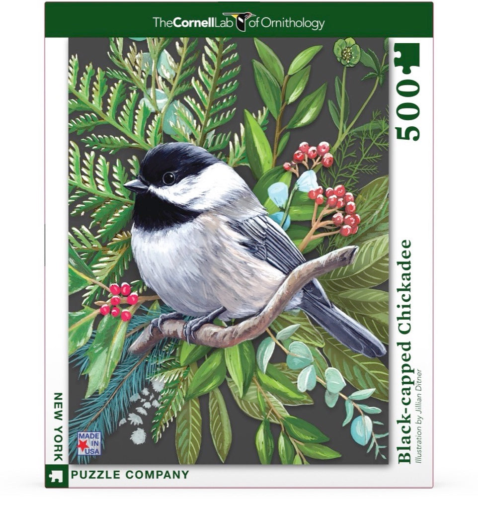 Black-capped Chickadee Image 2