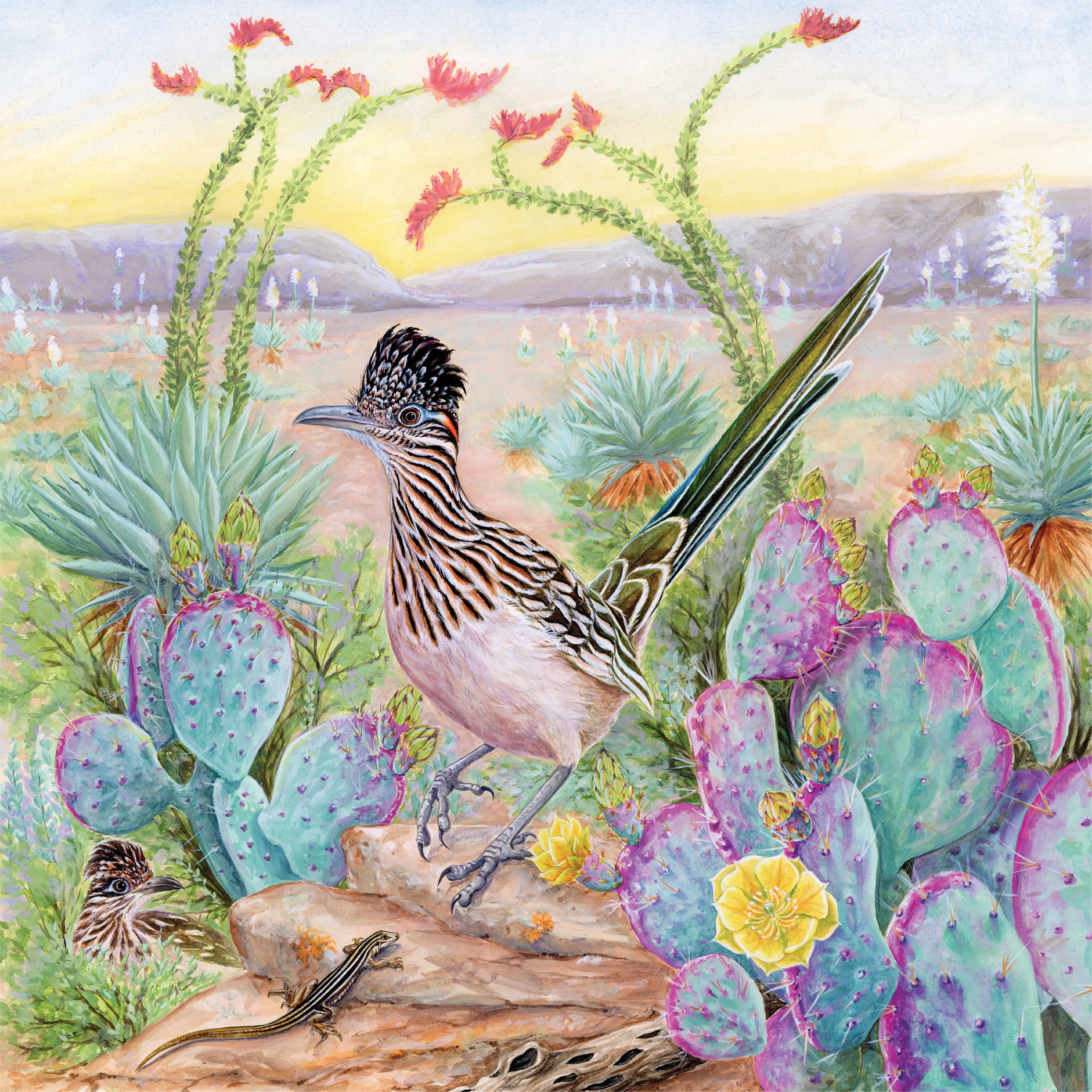 Greater Roadrunner Image 3