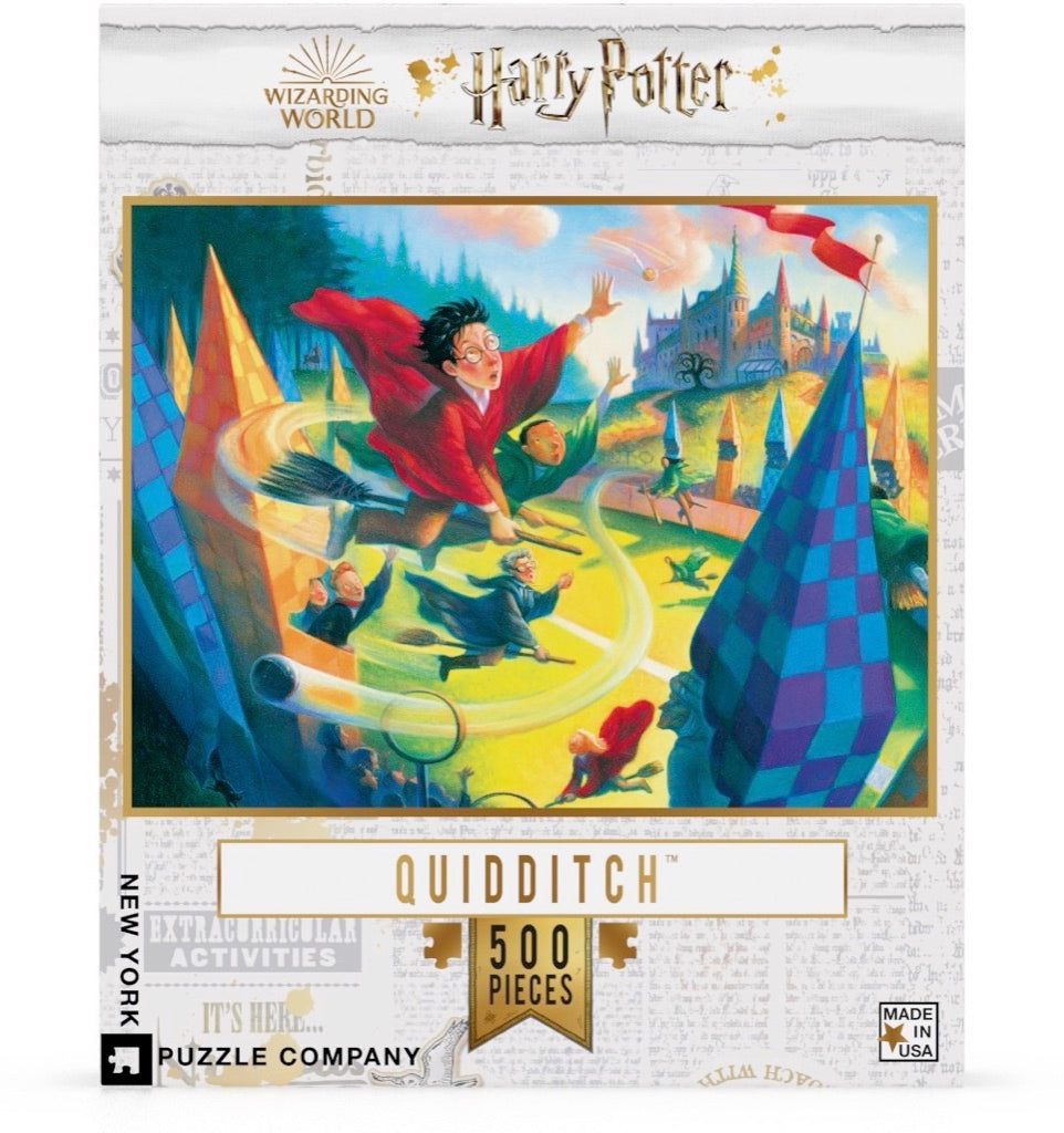 Quidditch 500 Image 2