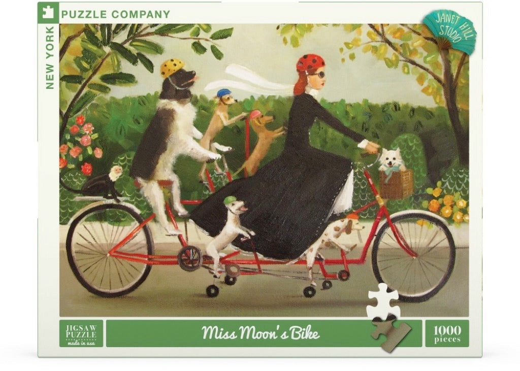 Miss Moon's Bike Image 2