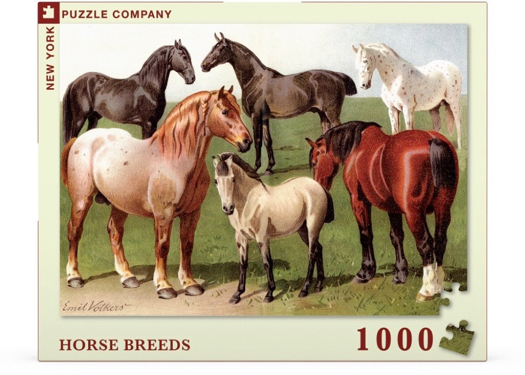 Horse Breeds