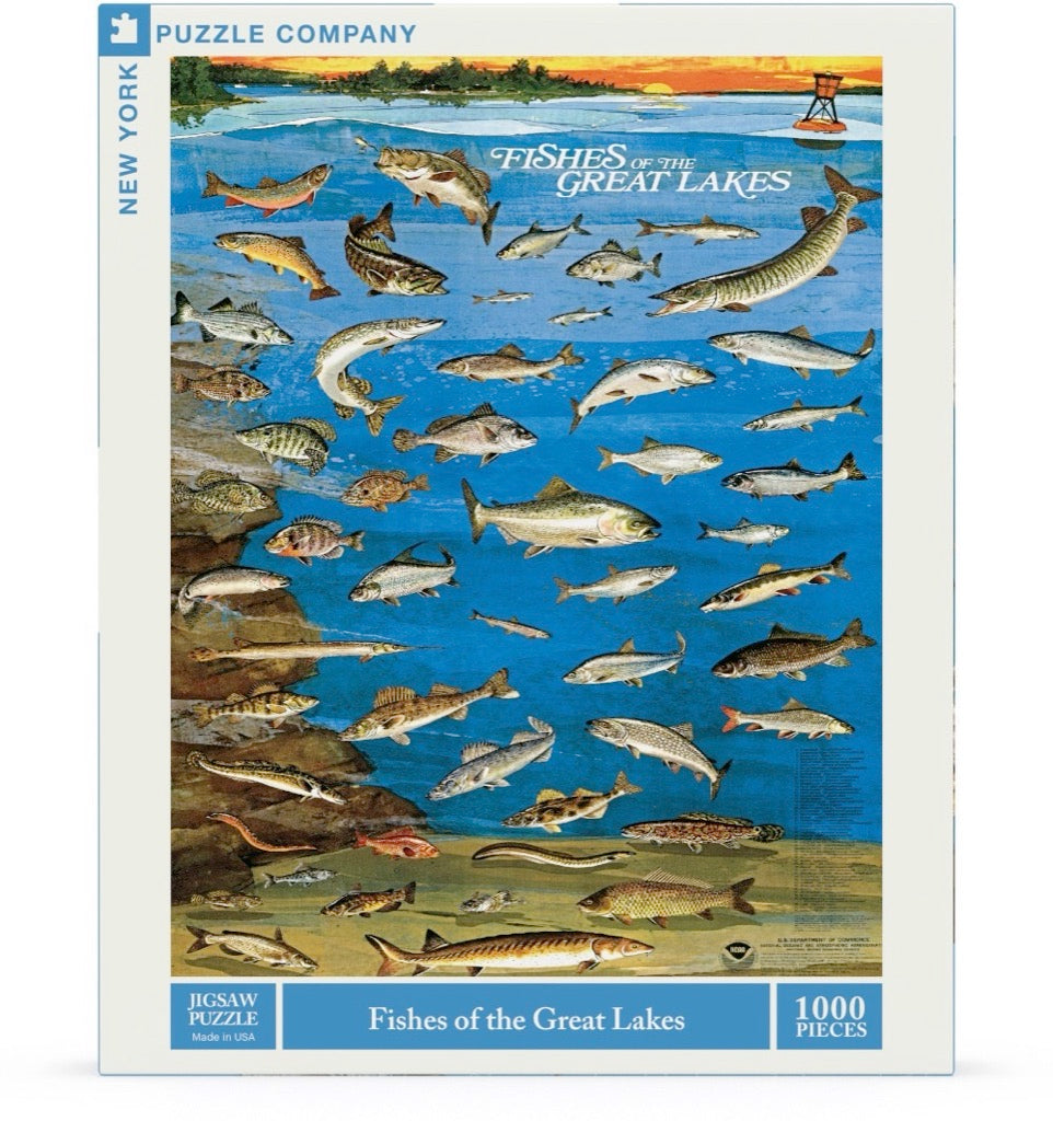 Fishes of the Great Lakes Image 2