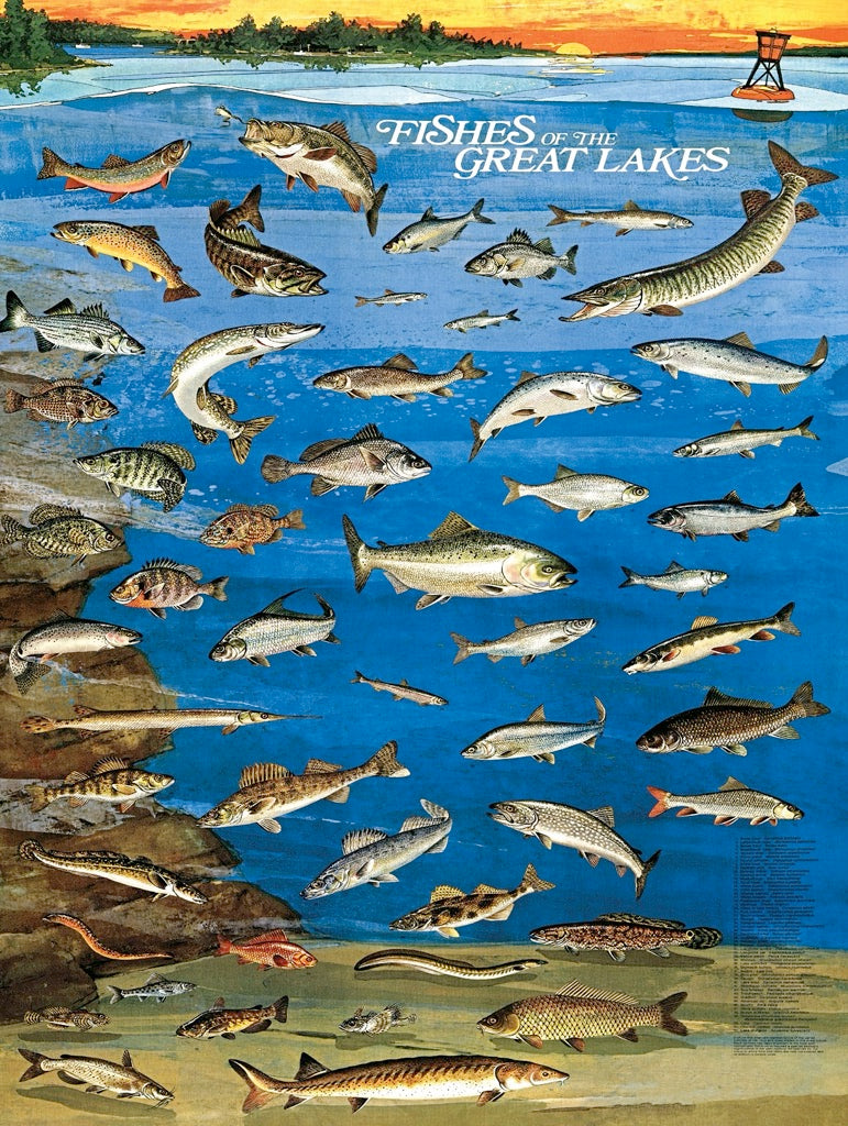 Fishes of the Great Lakes Image 3