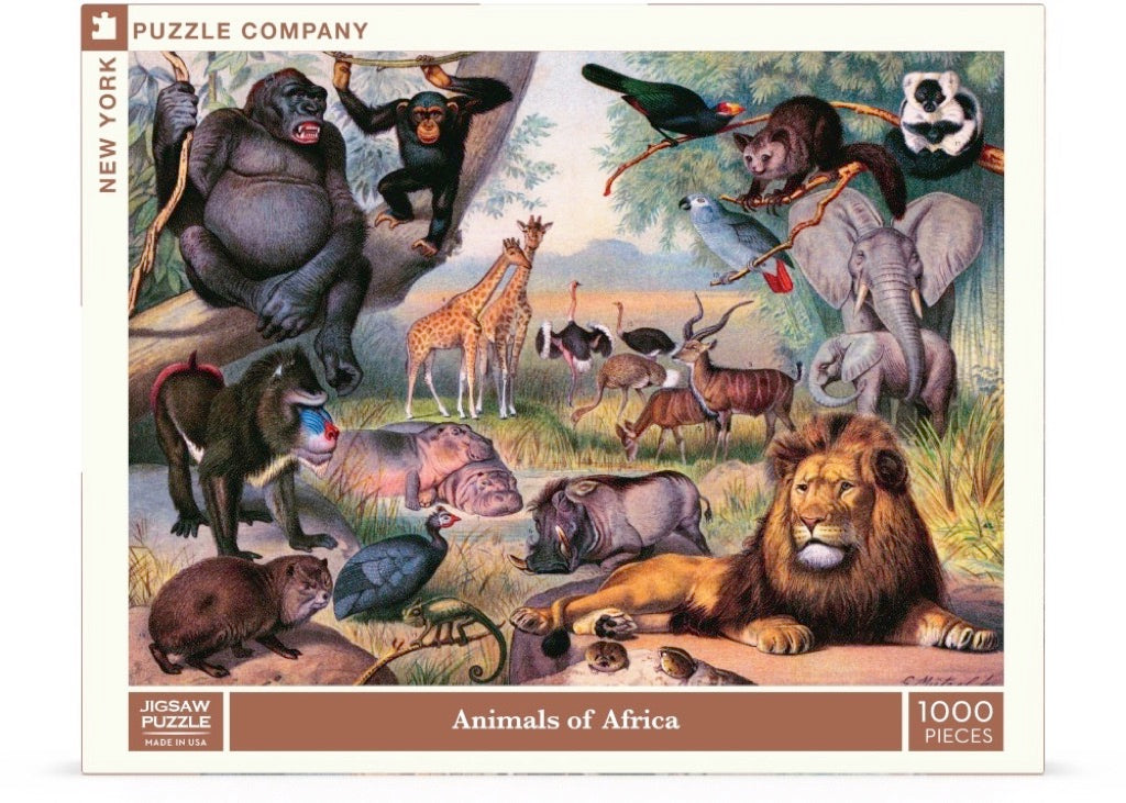 Animals of Africa Image 2